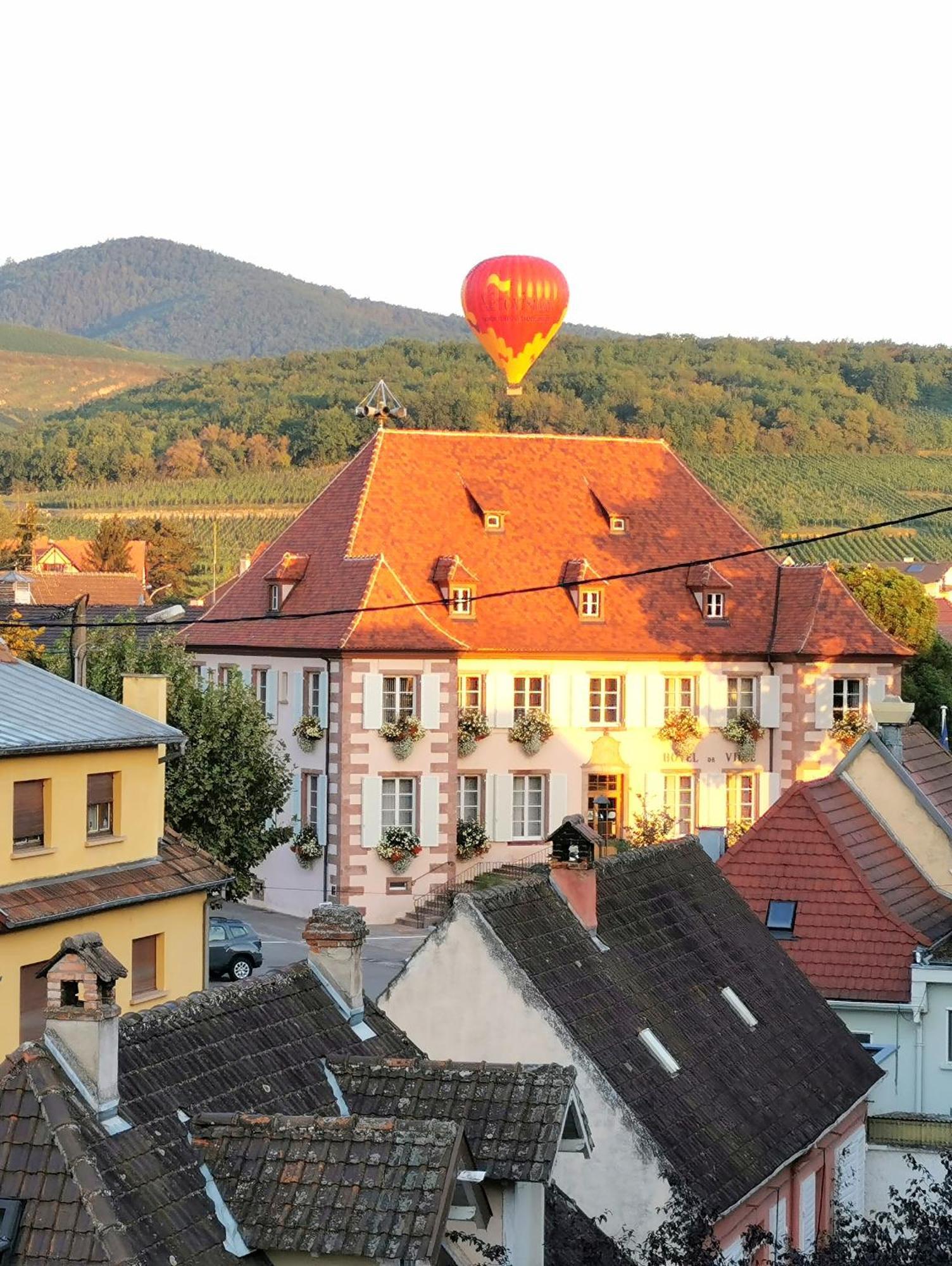 Entre Ville Et Vignes - Gite Classe 3 Etoiles インガースハイム エクステリア 写真